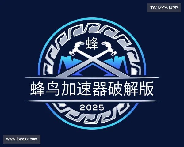 了解蜂鸟加速器破解版
